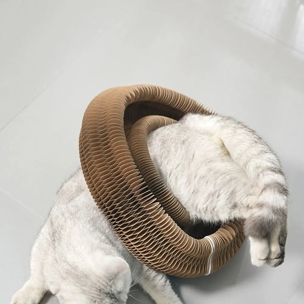 Eco Paws Powers Scratch Toy