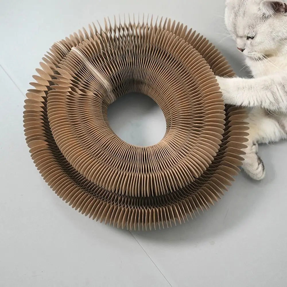 Eco Paws Powers Scratch Toy