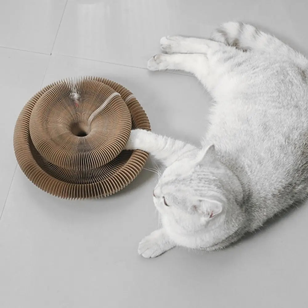 Eco Paws Powers Scratch Toy