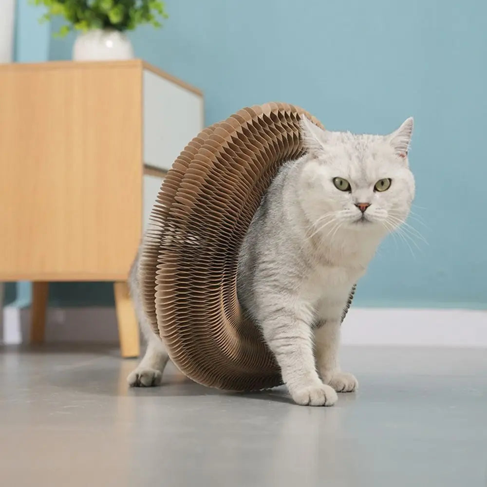 Eco Paws Powers Scratch Toy