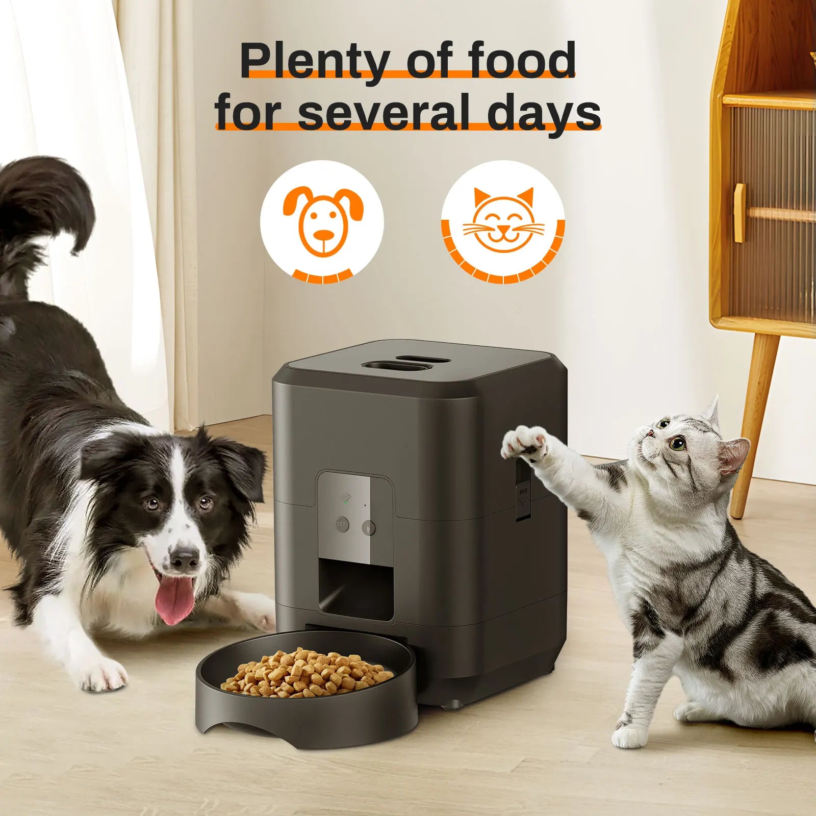 Automatic Wireless Pet Feeder